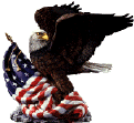 houston private investigator eagle with American Flag